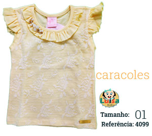 Blusa Aba Babado Renda Bordado